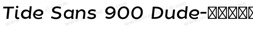 Tide Sans 900 Dude字体转换